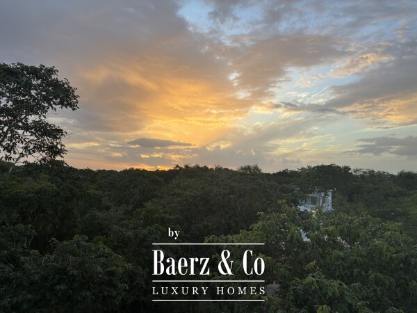 photo 4 A Private Yucatán Estate - villa, tower suite, guest casita, medicinal garden, orchard and more